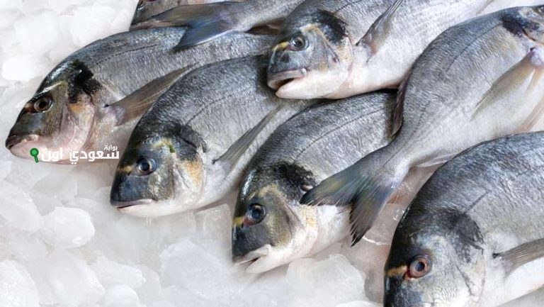 اسعار الاسماك