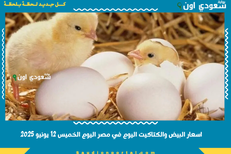 اسعار البيض والكتاكيت اليوم في مصر اليوم الخميس 12 يونيو 2025
