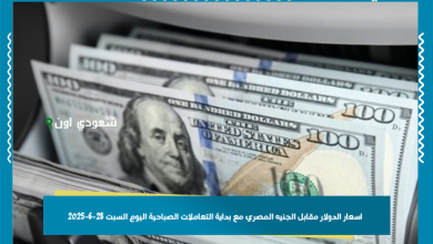 اسعار الدولار مقابل الجنيه المصري مع بداية التعاملات الصباحية اليوم السبت 28-6-2025