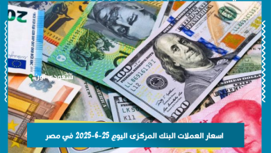 اسعار العملات البنك المركزى اليوم 25-6-2025 في مصر