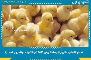 اسعار الكتاكيت اليوم الاربعاء 11 يونيو 2025 في الشركات والمزارع المحلية