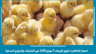 اسعار الكتاكيت اليوم الاربعاء 11 يونيو 2025 في الشركات والمزارع المحلية