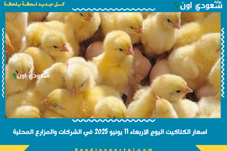 اسعار الكتاكيت اليوم الاربعاء 11 يونيو 2025 في الشركات والمزارع المحلية