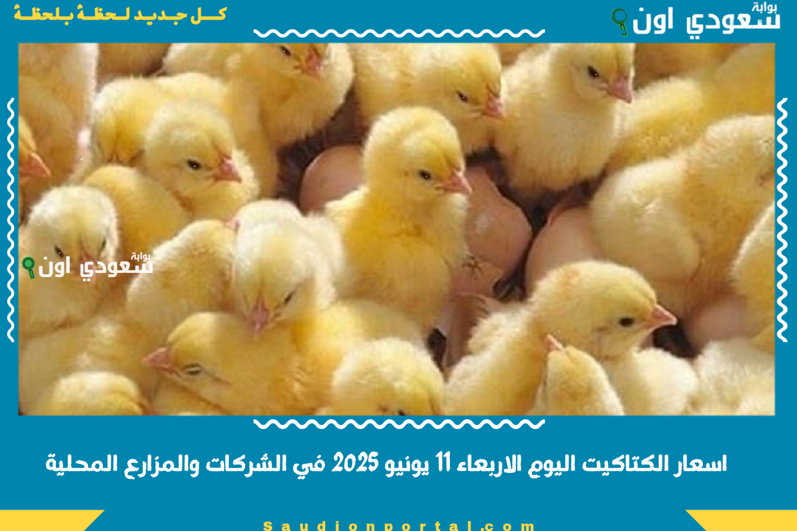 اسعار الكتاكيت اليوم الاربعاء 11 يونيو 2025 في الشركات والمزارع المحلية