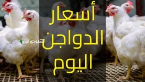 اسعار بورصة الدواجن اليوم