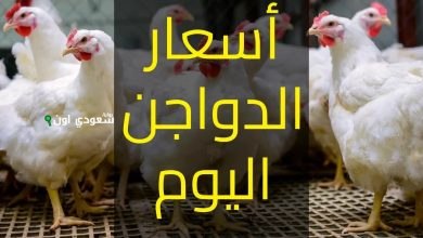 اسعار بورصة الدواجن اليوم