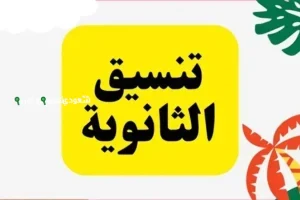 اعتماد تنسيق الصف الأول الثانوي العام والفني 2025 الحد الأدنى للقبول في 9 محافظات