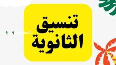 اعتماد تنسيق الصف الأول الثانوي العام والفني 2025 الحد الأدنى للقبول في 9 محافظات