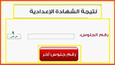 اعرف في دقيقة نتيجة الشهادة الإعدادية في محافظة الغربية