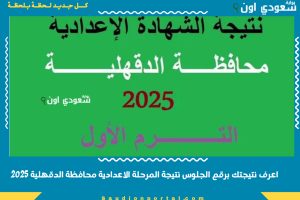 اعرف نتيجتك برقم الجلوس نتيجة المرحلة الاعدادية محافظة الدقهلية 2025