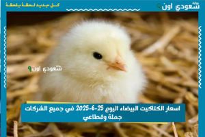 اسعار الكتاكيت البيضاء اليوم 25-6-2025 في جميع الشركات جملة وقطاعي