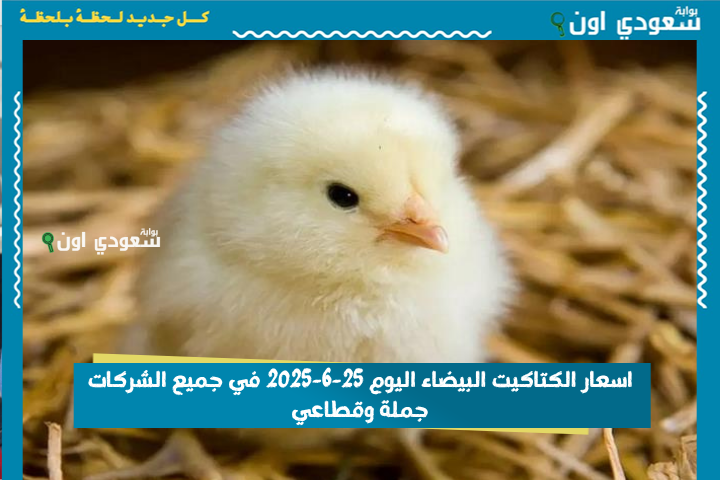 جملة وقطاعي.. اسعار الكتاكيت البيضاء اليوم 25-6-2025 في جميع الشركات جملة وقطاعي