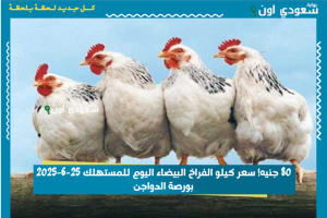 80 جنيه! سعر كيلو الفراخ البيضاء اليوم للمستهلك 25-6-2025 بورصة الدواجن