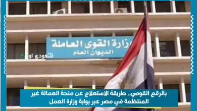 بالرقم القومي.. طريقة الاستعلام عن منحة العمالة غير المنتظمة في مصر عبر بوابة وزارة العمل