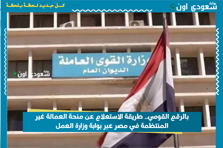 بالرقم القومي.. طريقة الاستعلام عن منحة العمالة غير المنتظمة في مصر عبر بوابة وزارة العمل