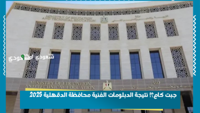 جبت كام؟! نتيجة الدبلومات الفنية محافظة الدقهلية 2025