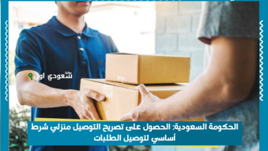 الحكومة السعودية