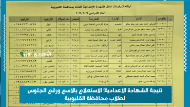 نتيجة الشهادة الاعدادية! الاستعلام بالاسم ورقم الجلوس لطلاب محافظة القليوبية