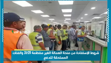 شروط الاستفادة من منحة العمالة الغير منتظمة 2025 والفئات المستحقة للدعم