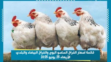 بورصة الدواجن