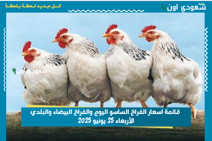 بورصة الدواجن: قائمة اسعار الفراخ الساسو اليوم والفراخ البيضاء والبلدي الأربعاء 25 يونيو 2025 آخر تحديث من السوق