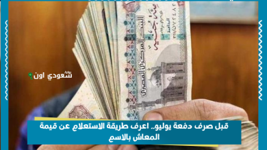 قبل صرف دفعة يوليو.. اعرف طريقة الاستعلام عن قيمة المعاش بالاسم