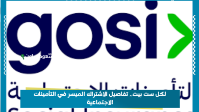 لكل ست بيت.. تفاصيل الاشتراك الميسر في التأمينات الاجتماعية