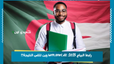 الأرصاد الجوية تعلن توقعات حالة الطقس اسكندرية حتى نهاية الأسبوع (3)