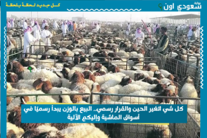 كل شي اتغير الحين والقرار رسمي.. البيع بالوزن يبدأ رسميًا في أسواق الماشية وإليكم الآلية
