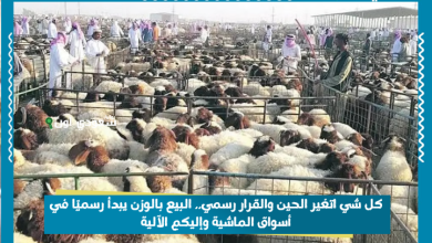 كل شي اتغير الحين والقرار رسمي.. البيع بالوزن يبدأ رسميًا في أسواق الماشية وإليكم الآلية