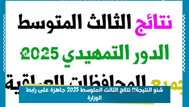 شنو النتيجة؟! نتائج الثالث المتوسط 2025 جاهزة على رابط الوزارة