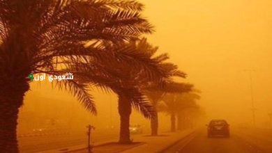 الأرصاد تنبه من احتمالية رياح مغبرة ببعض مناطق المملكة خلال عيد الأضحى
