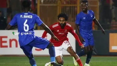 نشرة أخبار أهلي نيوز