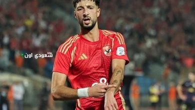 وسام أبو علي