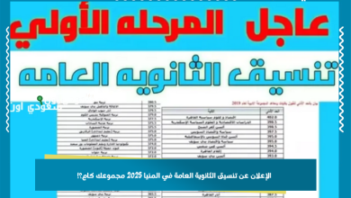 الإعلان عن تنسيق الثانوية العامة في المنيا 2025 مجموعك كام؟!