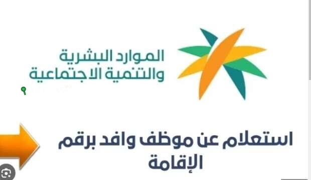 نتيجة فورية! خدمة الاستعلام المباشر عن موظف وافد برقم الإقامة في السعودية عبر وزارة الموارد البشرية