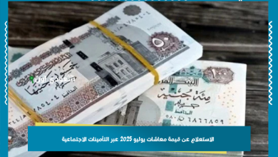 الاستعلام عن قيمة معاشات يوليو 2025 عبر التأمينات الاجتماعية