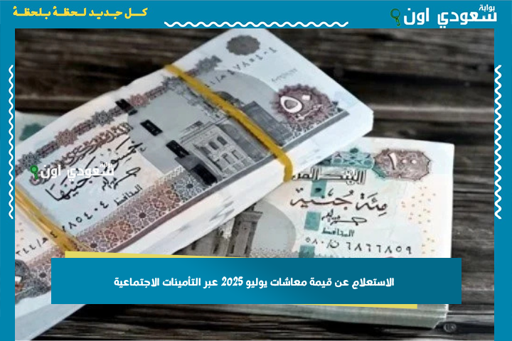 اعرف كم بينزلك قبل الصرف.. الاستعلام عن قيمة معاشات يوليو 2025 عبر التأمينات الاجتماعية
