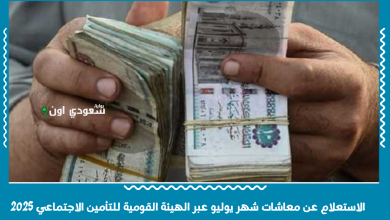الاستعلام عن معاشات شهر يوليو عبر الهيئة القومية للتأمين الاجتماعي 2025