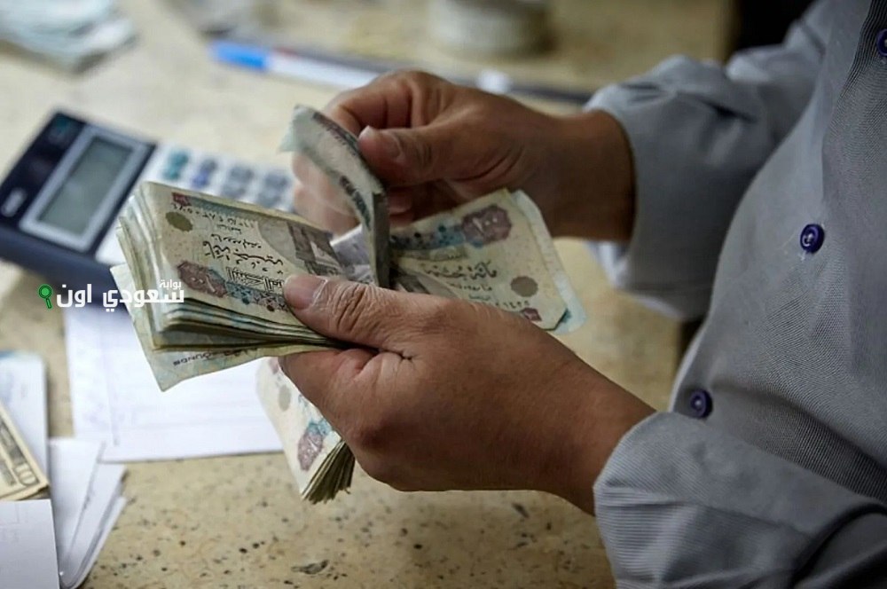 الاستعلام عن معاشات شهر يوليو عبر الهيئة القومية للتأمين الاجتماعي 2025