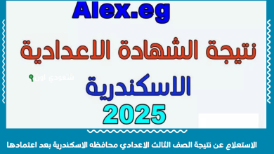 الاستعلام عن نتيجة الصف الثالث الاعدادي محافظه الاسكندرية بعد اعتمادها