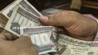 التأمينات الاجتماعية توضح شروط الاشتراك في معاشات ربات البيوت