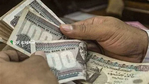تقدري تاخدي معاش شهري وانتي في بيتك! التأمينات الاجتماعية توضح شروط الاشتراك في معاشات ربات البيوت