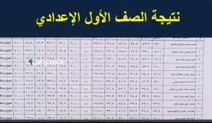 الجيزة تعتمد نتيجة الصف الأول الإعدادي الترم الثاني وتطرح رابط الاستعلام