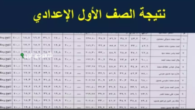الجيزة تعتمد نتيجة الصف الأول الإعدادي الترم الثاني وتطرح رابط الاستعلام