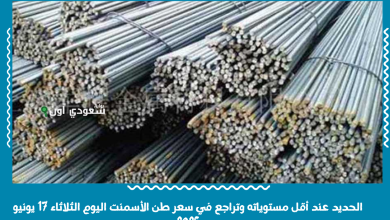 الحديد عند أقل مستوياته وتراجع في سعر طن الأسمنت اليوم الثلاثاء 17 يونيو 2025