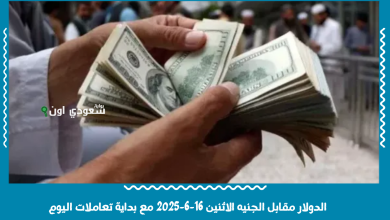 الدولار مقابل الجنيه الاثنين 16-6-2025 مع بداية تعاملات اليوم