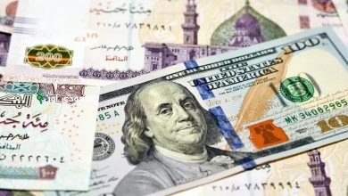 الدولار يواصل الاستقرار امام الجنيه اليوم الاربعاء 11 يونيو 2025