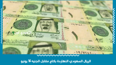 الريال السعودي النهاردة بكام مقابل الجنيه 16 يونيو