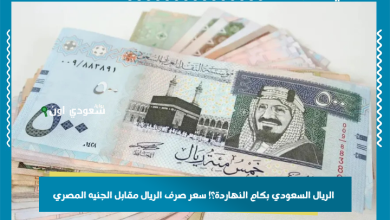 الريال السعودي بكام النهاردة؟! سعر صرف الريال مقابل الجنيه المصري